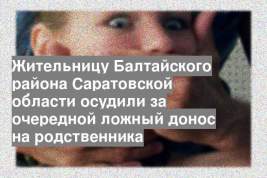 Жительницу Балтайского района Саратовской области осудили за очередной ложный донос на родственника