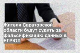 Жителя Саратовской области будут судить за фальсификацию данных в ЕГРЮЛ